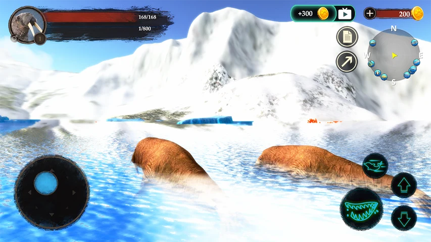The Walrus screenshot