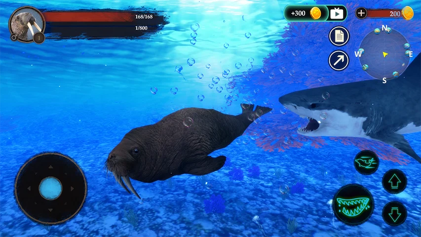 The Walrus screenshot