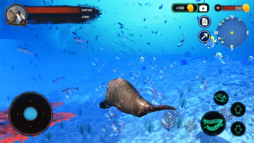 The Walrus screenshot