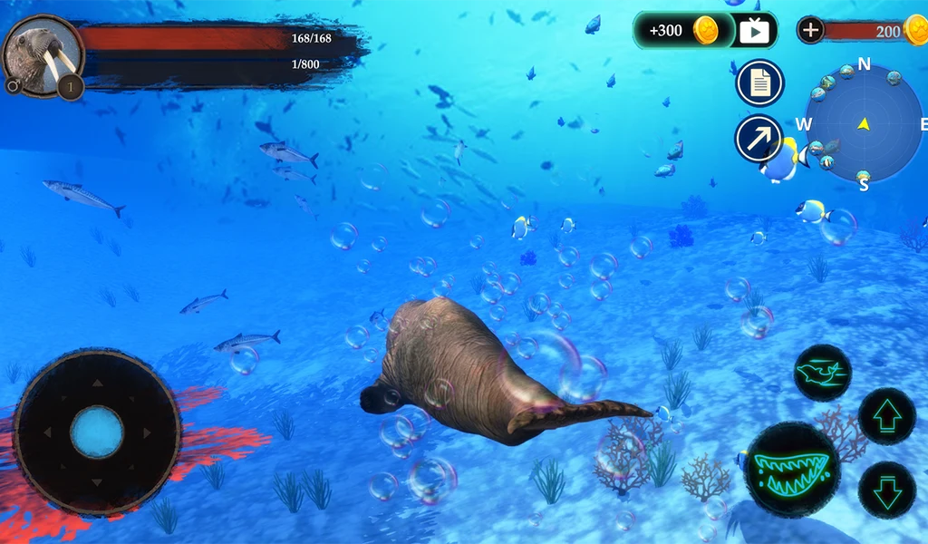 The Walrus screenshot